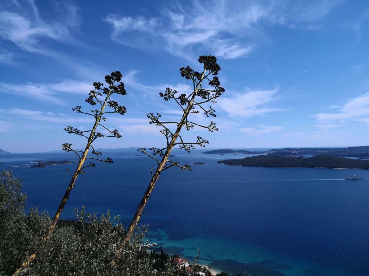 Sea And Pine Paradise 奥瑞比克 外观 照片